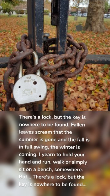 There's a lock, but the key is nowhere to be found. Fallen leaves scream that the summer is gone and the fall is in full swing, the winter is coming. I yearn to hold your hand and run, walk or simply sit on a bench, somewhere. But... There's a lock, but the key is nowhere to be found...